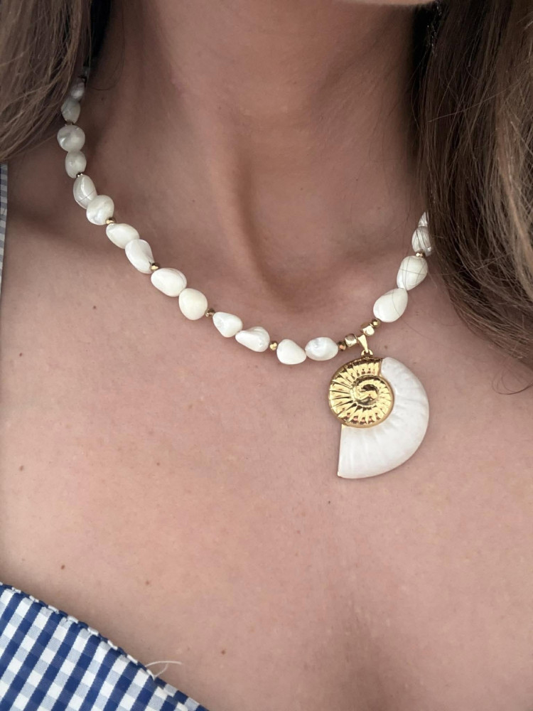 ΚΟΛΙΕ ΦΙΛΝΤΙΣΙ NAUTILUS SHELL